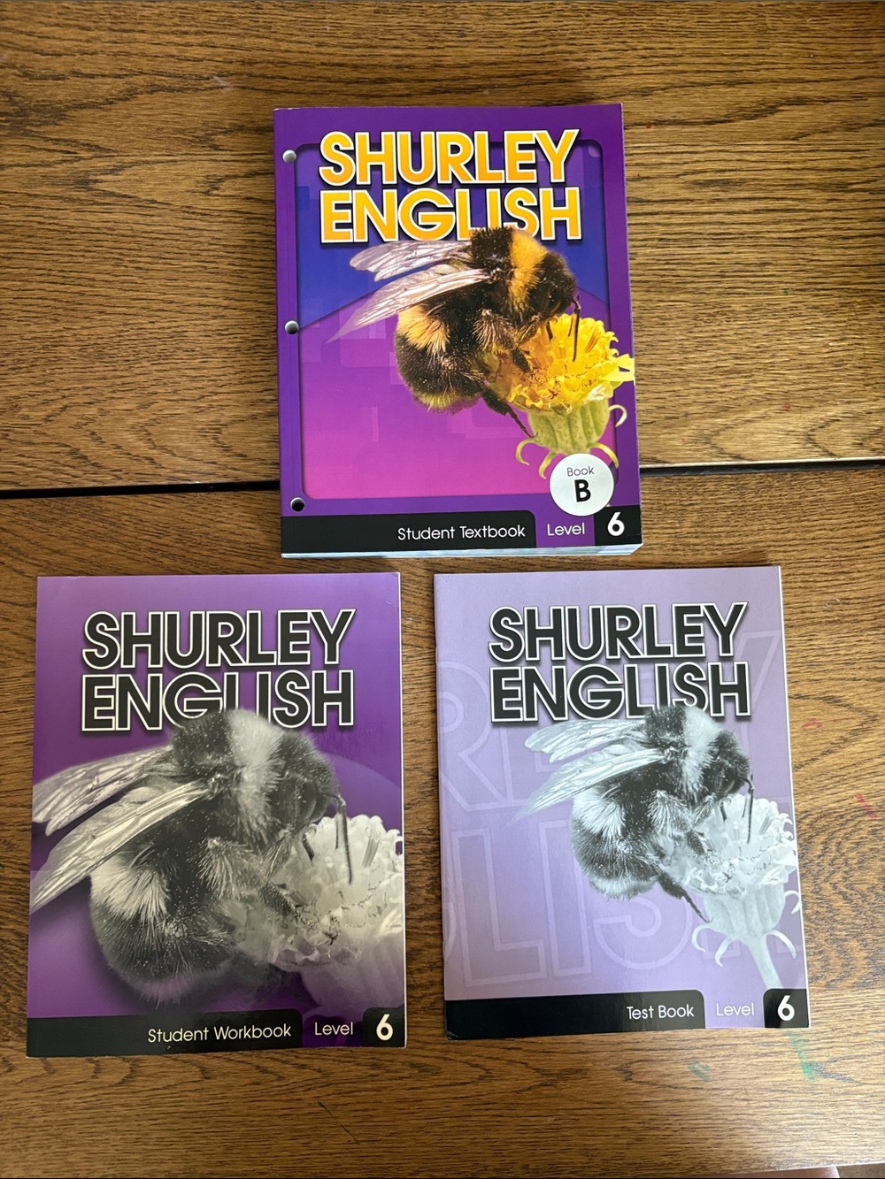 NEW Shurley English Level 6 Textbook B + Student Workbooks & Test Book